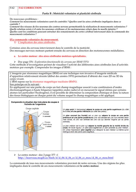 motricité et plasticité cérébrale tp