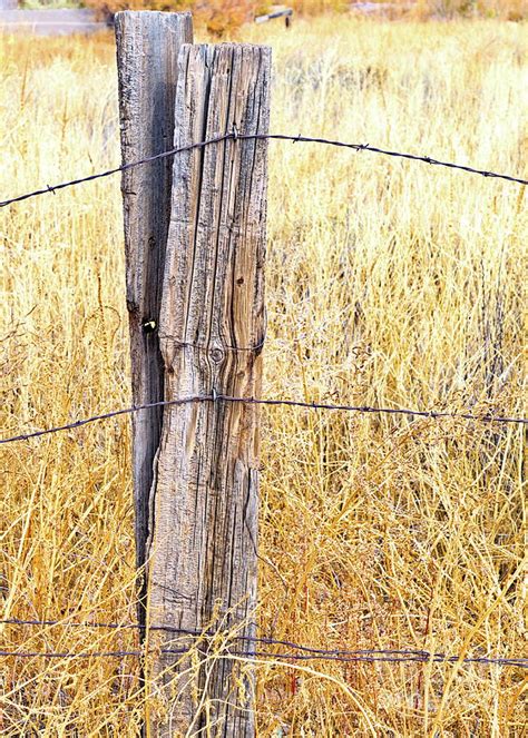 Rural Decor Photograph By Gary Richards Fine Art America