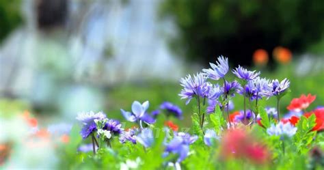 Лента блогов. Публикации