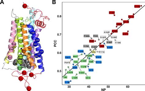 Structure Network Based Landscape Of Rhodopsin Misfolding By Mutations