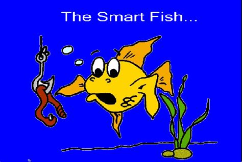 The Creative Counselor Dont Be Caught Being Angry Be A Smart Fish