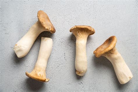 What Are King Oyster Mushrooms