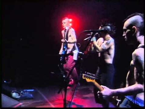 Red Hot Chili Peppers Sir Psycho Sexy Live Off The Map DVD YouTube