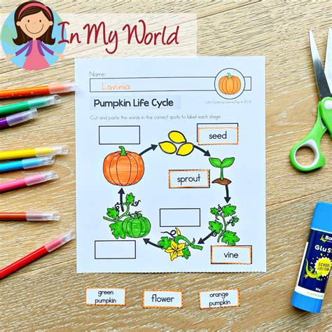 Pumpkin Life Cycle For Preschool