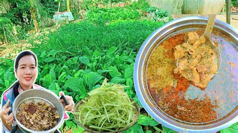 Cow Intestine Sour Soup Collect River Leaf Creeper Near The Mountain