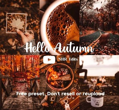 Free Hello Autumn Lightroom Preset Adobe Lightroom⠀by Nhredits