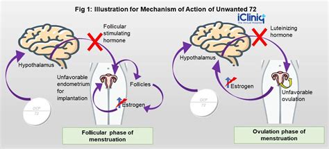 Unwanted 72 Uses Dosage Side Effects Drug Warnings