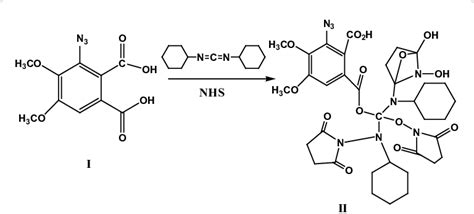 Scheme 1 Synthesis Of The Aryl Azido NHS Heterobifunctional