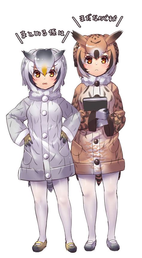 ワシミミズクけものフレンズ アフリカオオコノハズクけものフレンズ 「まだなのです。🦉 」只野まぐのイラスト