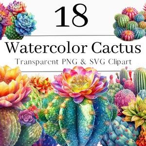 Desert Cactus Watercolor Clipart Bundle Succulent Plants PNG - Etsy