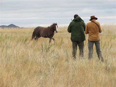 CSU researchers team with federal agencies to find better ways of ...