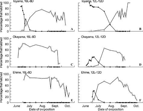 Effects Of Maternal Photoperiod And Time Of Oviposition On The