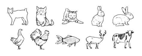 Premium Vector | Hand draw pets animal illustration