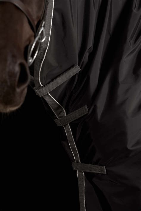 Collection For the Horse – Ride Every Stride Inc.