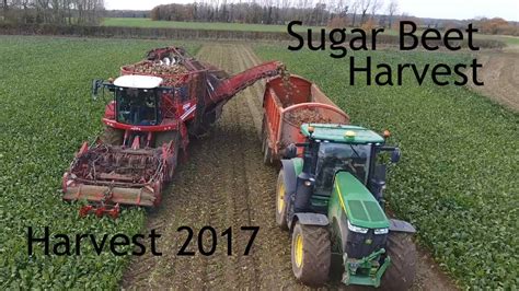 Harvest 2017 Sugar Beet Harvest Youtube