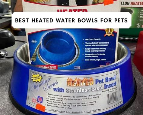 The 10 Best Heated Water Bowls For Pets 2023 We Love Doodles