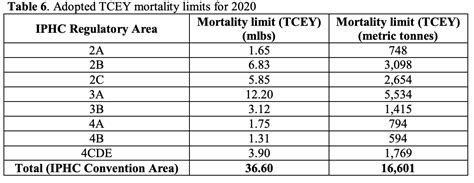 Fish Dip Commission Cuts Pacific Halibut Quotas Based On Sex Study National Fisherman