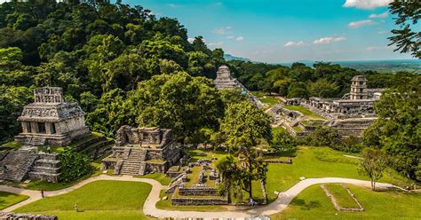 Ancient Mayan City of Palenque Was Home to a Legendary King (Video ...