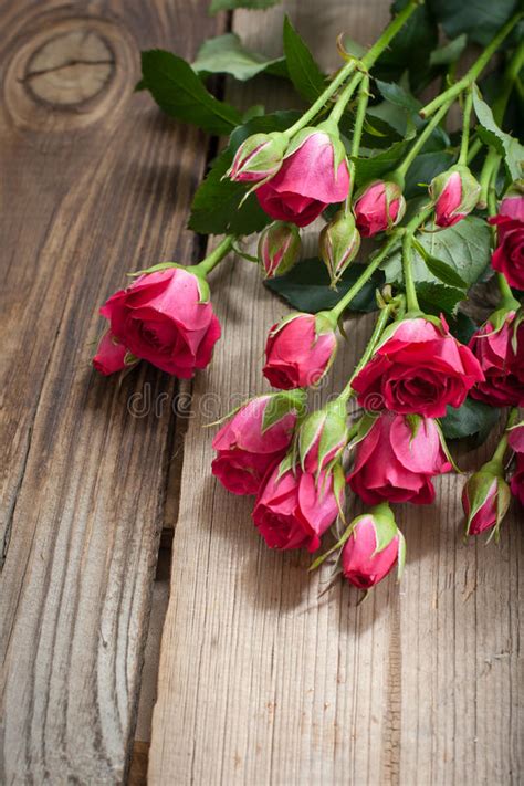 Rosas Cor De Rosa Em Uma Tabela De Madeira Foto De Stock Imagem De