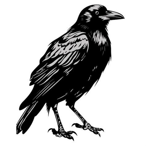 Premium Vector Cartoon Raven