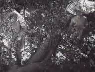 Shirley Mills Nude Pics Page 1