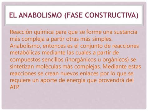 Anabolismo Y Catabolismo Diferencias Ejemplos Cuadro Comparativo