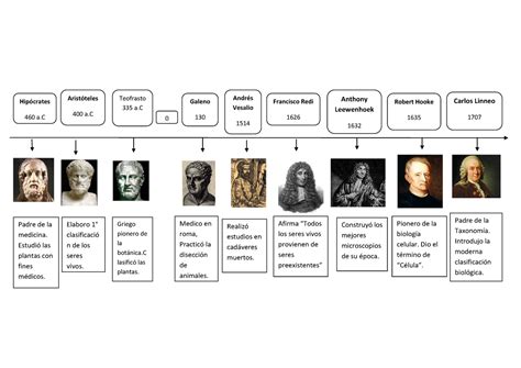 Linea Del Tiempo De Biologia Molecular Imagesee