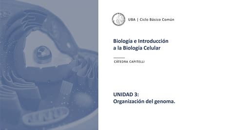 CAP12 Seminario 6 diapositivas BiologÌa e IntroducciÛn a la