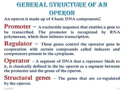 Regulation of gene expression in prokaryotes