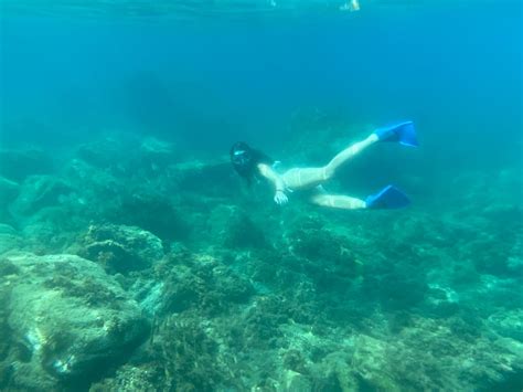 Mingling With Mermaids Diving Into Grenada S Culture Artofit