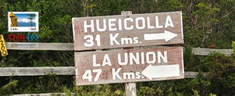 Parque Nacional Alerce Costero Parques Nacionales 14 Decimacuarta