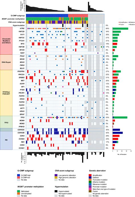 Molecular Landscape Of Idh Mutant Primary Astrocytoma Grade Iv