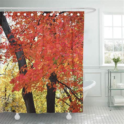 CYNLON Orange Trees Maple Tree Autumn Red Fall Leaves Nature Bathroom