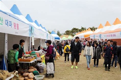 연천 12~14일 전곡리 유적서 농 특산물 직거래 장터 개최 네이트 뉴스