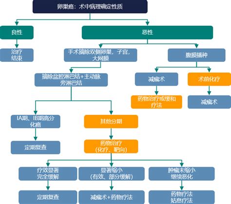 卵巢癌治疗市场分析！靶向及免疫药物是未来趋势卵巢癌治疗药物患者靶点 健康界