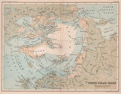 Pre Polar Chart