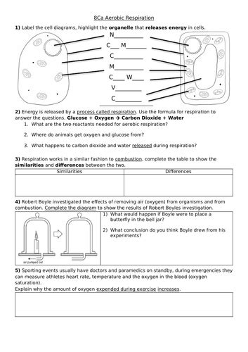 8ca Aerobic Respiration Lesson 1 Of 8c Breathing And Respiration