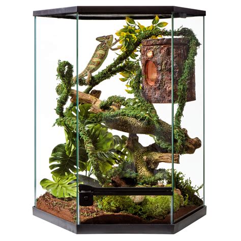 Thrive Tropical Reptile Vertical Hexagon Terrarium 20 Gallon Reptile