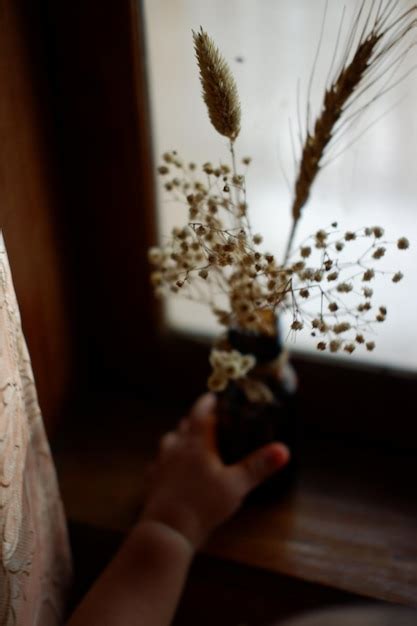 Premium Photo Close Up Of Woman Hand Holding Plant At Home