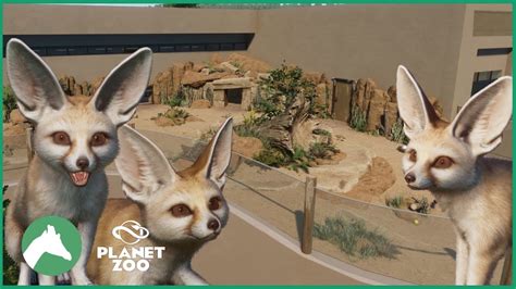 Fennec Fox Enclosure For Home