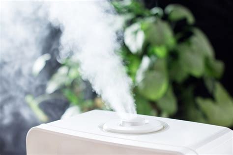 Humidifier Vs. Dehumidifier: Differences, Uses & Benefits | Mental Itch