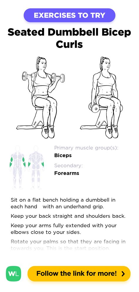 Seated Dumbbell Bicep Curls – WorkoutLabs Exercise Guide