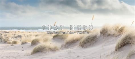 coastline view  beach dunes landscape  nationalpark premium ai