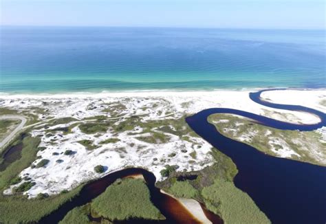 Grayton Beach State Park | Florida State Parks