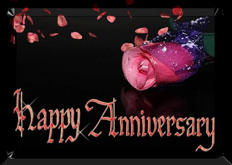 Pink Rose Anniversary Free Happy Anniversary Ecards Greeting Cards 123 Greetings