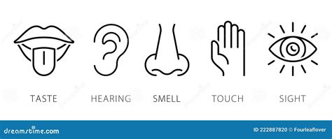 Human Senses Cartoon Vector Icons With Eye Nose Ear Hand And Mouth