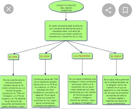 Mapa Conceptual De Los Tipos De Agricultura Brainly Lat