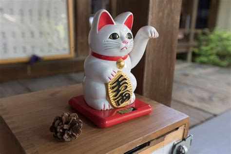 Manekineko O Gato Da Sorte Japonês Kuri Kuri Loja Japonesa