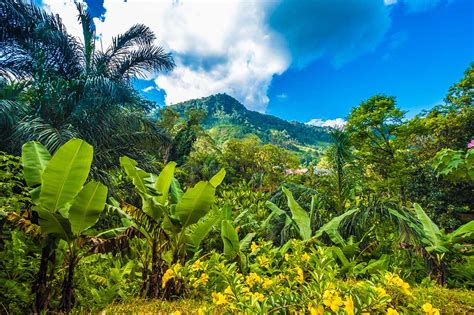 Madagascar Circuit Sur La Mythique Rn Des Parcs Nationaux Aux Plages