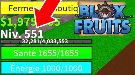 Je Suis Niveau Blox Fruits Youtube